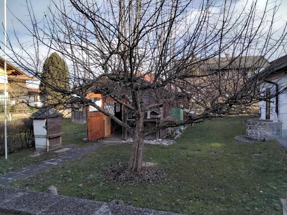 Ferienwohnung Maxl Fischbachau Exteriör bild